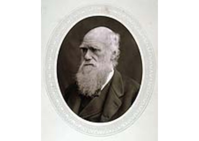 Совместимы ли Библия и теория Дарвина?