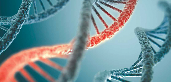 Who programmed our DNA?