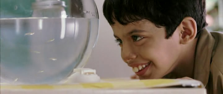 Taare Zameen Par