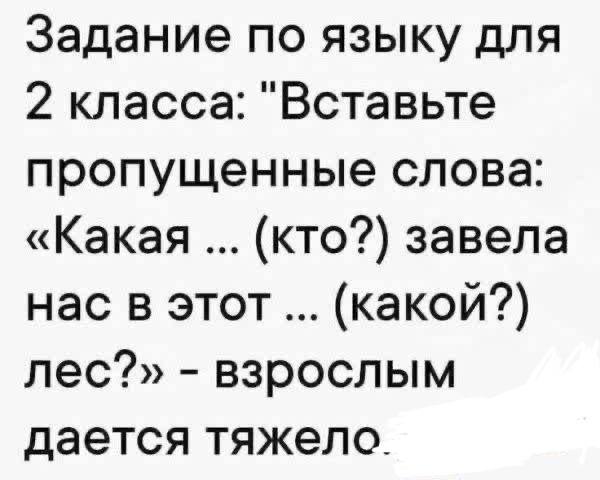 ������������ ����