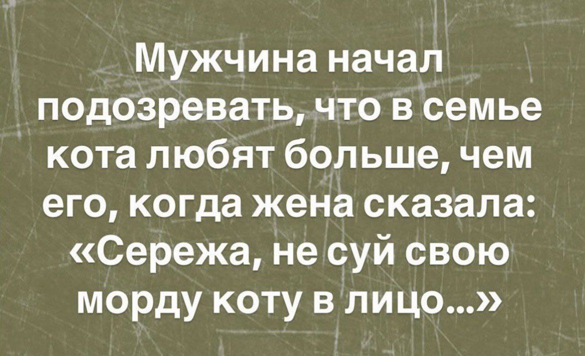 ������������ ����