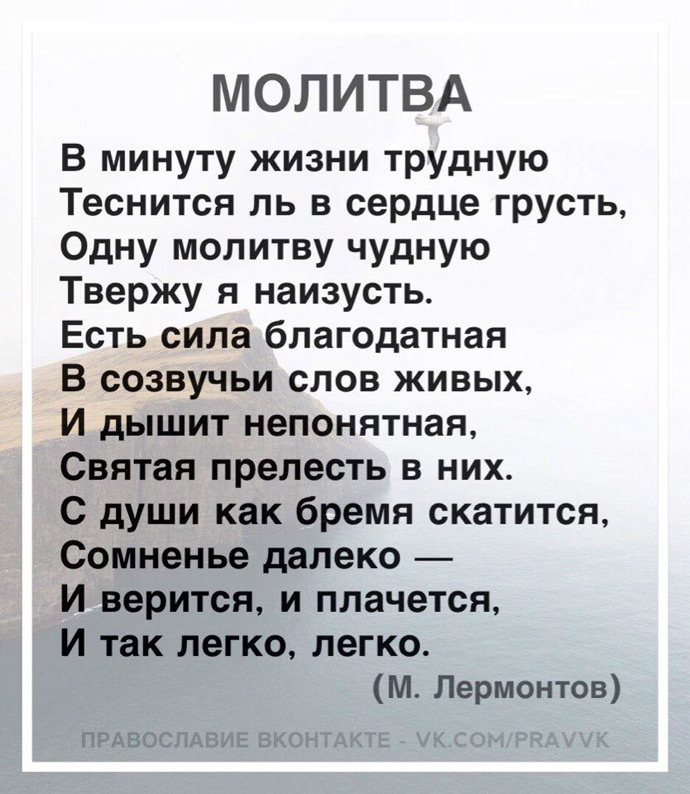 Новые Поступления