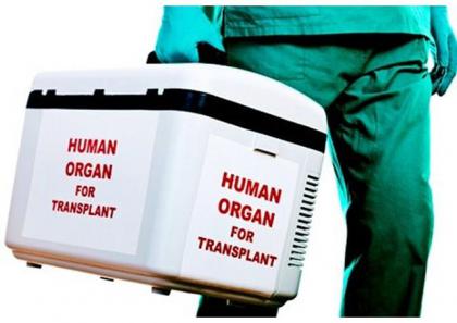 Як Католицька Церква ставиться до трансплантації органів?